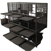 Cage confortable cage d'élevage de lapins dans la ferme cages à lapins photo