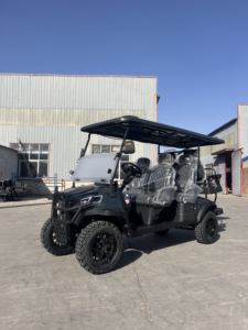 Carrito de Golf Eléctrico Todoterreno WELIFTRICH de 5kw, 6 Plazas, 72v, Carrito Turístico de 30-50Km/h, 90km de Autonomía - Product Image 2