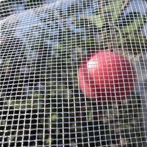 Filet anti-grêle en plastique vierge tissé croisé Leno 50g, protection UV, pour arbres fruitiers (pommiers, olives) et protection anti-oiseaux - Product Image 1