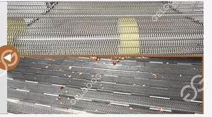 Horno industrial continuo Gelgoog para tostar y pelar cacahuetes y anacardos, máquina para tostar nueces - Product Image 6