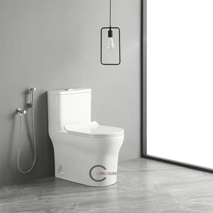 Wc — Siphon carré sans bords, toilette avec siège à fermeture souple en Pp, toilette en céramique, une pièce - Product Image 1