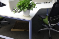 KALN 2026 Vina Green - Table de bureau ouverte avec pieds triangulaires, revêtement poudré, design personnalisé, vente directe usine