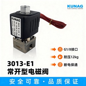 Vanne solénoïde KUNAG 3013 E1 G1-8 DC12V normalement ouverte pour le contrôle de l'eau - Product Image 5