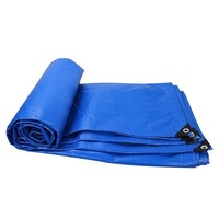 Bâche en plastique PE bleue bâche de moto bâche en plastique ponton HDPE bâche en plastique