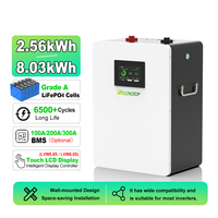 Batterie solaire domestique murale Delongtop Powerwall 24V 25.6V LiFePO4 100Ah 200Ah 300Ah 314Ah 2.5Kwh 5Kwh 8Kwh pour stockage d'énergie - Vente en gros