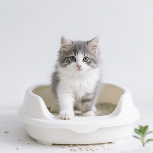 Se aceptan pedidos <span class=keywords><strong>de</strong></span> OEM/ODM, arena para gatos <span class=keywords><strong>de</strong></span> almidón <span class=keywords><strong>de</strong></span> <span class=keywords><strong>yuca</strong></span>, respetuosa con el medio ambiente, sin polvo, control <span class=keywords><strong>de</strong></span> olores, arena para gatos a granel biodegradable - Product Image 1