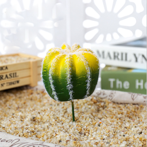 Mini décor pour pépinière, plantes de <span class=keywords><strong>Cactus</strong></span> artificielles, nouveauté - Product Image 5