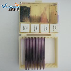 Lames d'hématologie, ensemble de lames préparées pour le <span class=keywords><strong>sang</strong></span>, lames préparées pour <span class=keywords><strong>microscope</strong></span> d'hématologie sanguine - Product Image 5