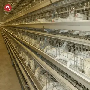 כלובי עופות ביצת תרנגולת בית עוף מלאה אוטומטית מערכת קייג 'סוללה