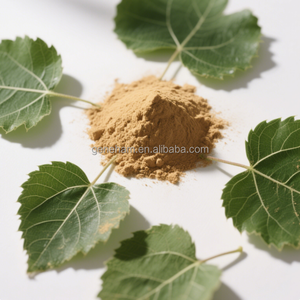 कारखाने की आपूर्ति जेनेहैम ब्रांड डीएनज 8% जैविक प्रमाणित खाद्य ग्रेड शहतूत पत्ती निकालने वाला थोक कर/ड्रम/बोतल पैकेजिंग - Product Image 4