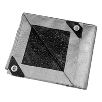 Bâche en PE imperméable pour extérieur, jardin, abri de plantes, bateau, voiture, camion, auvent, voile d'ombrage, couverture pour animaux de compagnie