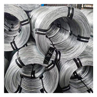 Prix de gros Fil galvanisé à chaud 2mm 2.5mm DIA Q195 Q235 SAE1006 SAE1008 Fil d'acier galvanisé