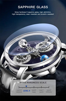 Montre Wandering Hours automatique mécanique céleste en acier inoxydable 316L avec affichage ciel étoilé satellite, montre personnalisée OEM haut de gamme
