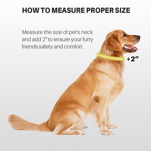 <span class=keywords><strong>Collier</strong></span> pour <span class=keywords><strong>chien</strong></span> Martingale en nylon robuste de couleur unie réglable <span class=keywords><strong>anti</strong></span>-évasion pour chiens-Entraînement à la marche Utilisation quotidienne - Product Image 4