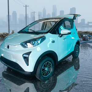 Auto Elettrica Mini EV per Adulti a Bassa Velocità, Piccola Vettura Elettrica Cinese a 4 Posti per Famiglia e Lavoro - Product Image 3