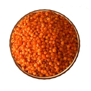 Organik kırmızı mercimek kurutulmuş Chana Dal ve yeşil mercimek gıda kullanımı toplu torbalarda paketlenmiş - Product Image 1