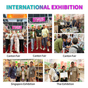 SenAng07新抵达旅行托盘纸板站立Dr 1 2 4 6瓦楞纸杯架 - Product Image 6