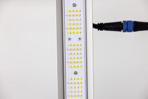 3,06 Umol/J Growlights regulable espectro plegable alto Par <span class=keywords><strong>Mega</strong></span> Eco 720W espectro completo IP65 Led crece la luz lámpara de crecimiento de plantas - Product Image 3