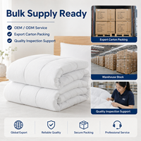 Couette blanche de qualité professionnelle pour fabricant OEM, taille personnalisée, pour hôtels, toutes saisons (été, hiver), insert de couette.