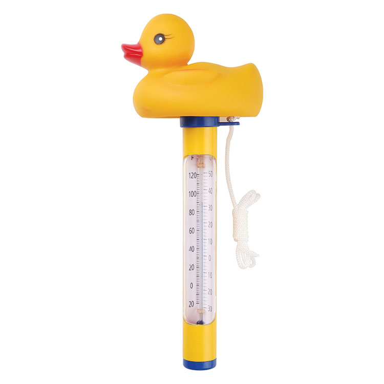 Canard