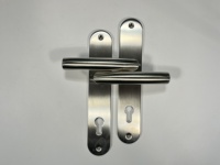 Poignée de porte et plaque frontale ovale en acier inoxydable SUS304 de conception européenne pour villa, bureau et appartement