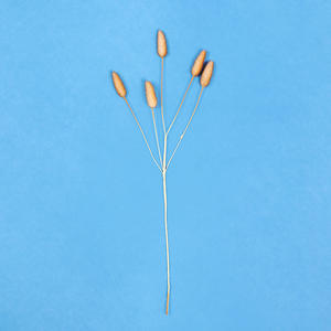 D334 Artificielle Lapin Queue Herbe En Vrac En Gros pour Noël Saint Valentin Graduation Fête Des Mères Décoratif - Product Image 3