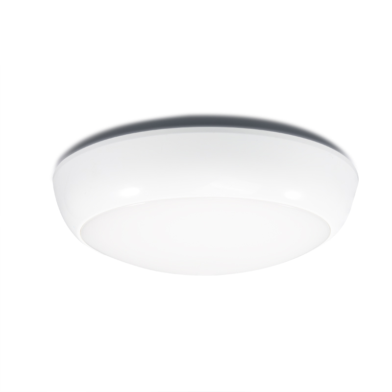 2021 led ceiling light Multifunctional Surface mounted products ceiling light with blue tooth speaker
