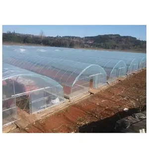 High Quality Agricultural Tunnel Greenhouse Film Transparent Greenhouse Cover Materials