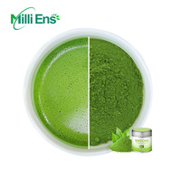 Best-seller 100% biologique Matcha en poudre de qualité cérémonielle saveur crémeuse Ummami pour les lattes et les smoothies