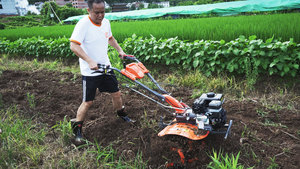 เครื่องพรวนดินดีเซลกำลังสูง 15 แรงม้า พร้อมผาน<span class=keywords><strong>พรวน</strong></span>แบบโรตารี่ รุ่น DT499 - Product Image 4