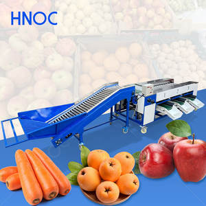 Máquina Clasificadora de Frutas y Verduras por Tamaño, Micro Tamaño, para Peras, Kiwis, Naranjas, Manzanas y Cítricos - Product Image 1