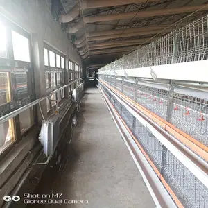 2019 vertical types of layer chicken breeder battery cage system in poultry