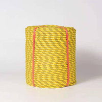 Corde d'escalade statique 11 mm en polyester/PET, légère, structure tressée, certifiée CE pour l'alpinisme et le camping
