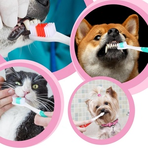 Innovador Cepillo de Dientes para Mascotas de Doble Cabezal y Tres Lados Suaves para el Control del Mal Aliento y el Sarro - Product Image 6