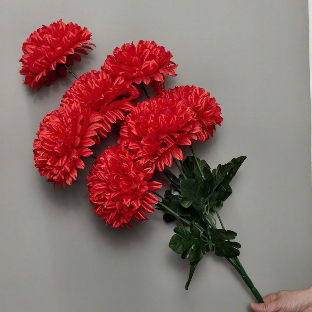 Chrysanthème boule écarlate