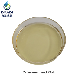 Mélange de 2 enzymes PA-L, solution multi-enzymes pour l'élimination des taches de protéines et d'amidon pour la lessive - Product Image 3