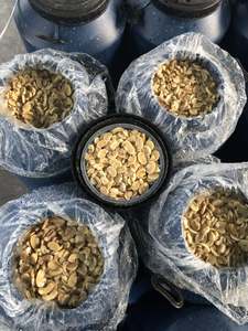 Fabrika doğrudan satış 2024 yeni üretim namlulu turşu mantar dilimleri 50kg - Product Image 5