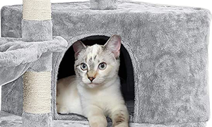 <span class=keywords><strong>Roman</strong></span> tour de chat à quatre étages jouet sisal couvert <span class=keywords><strong>colonne</strong></span> à gratter support d'escalade fibre naturelle économique chaton activité arbre à chat - Product Image 4