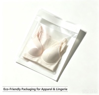 Pochette jetable en papier glassine écologique biodégradable transparente avec logo personnalisé pour chemises, robes, pulls et vêtements