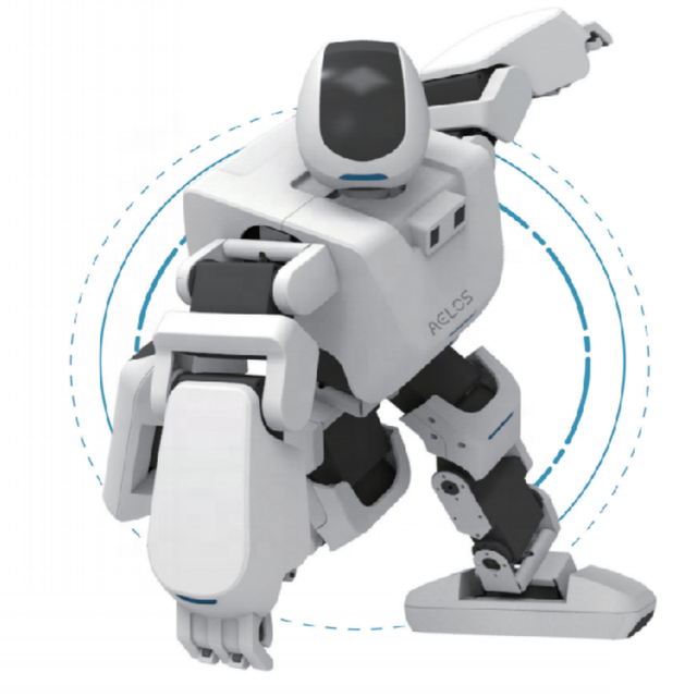 The Largest Supplier of Humanoid Robots Educational Robot Programming for School Curriculum