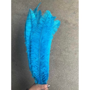 Plumas de Avestruz <span class=keywords><strong>Nandu</strong></span> Teñidas de Azul de 50 cm para Decoración de Jarrones, Manualidades, Sombreros, Sombrerería y Tocados para Fiestas, Hogar y Bodas - Product Image 2