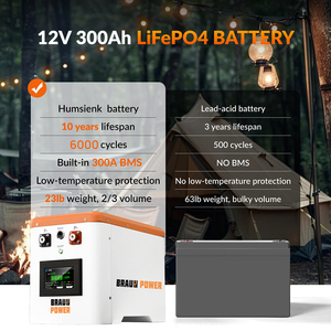 Braunpower 12V 24V 280ah 300ah LiFePO4 DIY Kit Trường hợp với thông minh 200A BMS phù hợp với cho Diy Battery Pack với USB sạc DIY Kit - Product Image 5