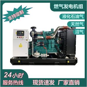 Pulita 300KW Natural Gas Generator 400V Water Cooled 1500RPM For Data Center - Product Image 5
