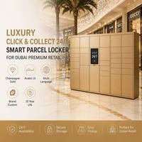 Casillero Inteligente de Lujo Winnsen para Paquetes, Recogida por Tiempo Determinado, Cerradura Electrónica 24/7, Multi-idioma, para Centros Comerciales en Dubái, EAU