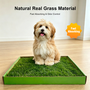 Tapis d'apprentissage <span class=keywords><strong>de</strong></span> la propreté pour animaux <span class=keywords><strong>de</strong></span> compagnie en <span class=keywords><strong>herbe</strong></span> synthétique réaliste, lavable et réutilisable, 24 pouces, pour <span class=keywords><strong>l</strong></span>'intérieur et <span class=keywords><strong>l</strong></span>'extérieur - Product Image 1