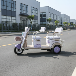 Tricycles électriques LTL 2026 à succès, 2 rangées, vente directe usine, batterie lithium 60V 600W/800W, vitesse max 38km/h, transport enfant - Product Image 1