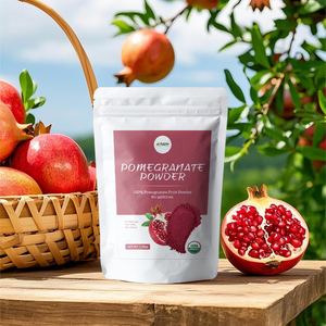 AMULYN Polvere di Succo di Melograno 100% Naturale, Polvere Idrosolubile, Estratto di Frutta, Vitamina C, Confezione in Fusto - Product Image 5