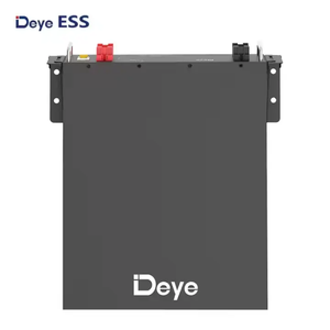 现货5kwh 10kwh太阳能系统储能电池SE-G10.<span class=keywords><strong>2</strong></span>德业锂电池批发价51.2v 100ah 200ah - Product Image 6