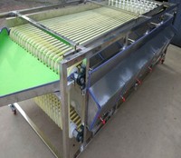 Roller Sizer Olijf Sorteren Machine Voor Verkoop Vruchten Grader Door Size