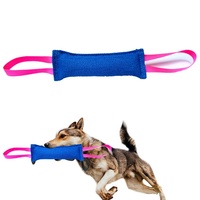 Jouet interactif pour chien résistant aux morsures, bâton à mâcher pour l'entraînement, modèle LY08995, pour la dentition et la mastication